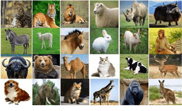 Figure 2 for Animal Classification System: A Block Based Approach