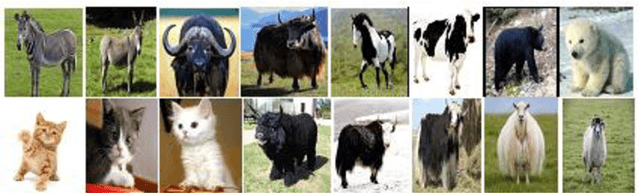 Figure 3 for Animal Classification System: A Block Based Approach