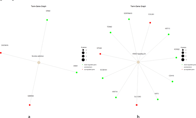 Figure 2 for AI-Decision Support System Interface Using Cancer Related Data for Lung Cancer Prognosis