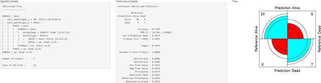 Figure 4 for AI-Decision Support System Interface Using Cancer Related Data for Lung Cancer Prognosis