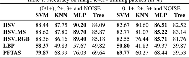 Figure 2 for An Automatic Patch-based Approach for HER-2 Scoring in Immunohistochemical Breast Cancer Images Using Color Features