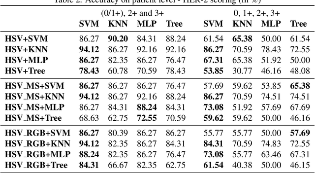 Figure 4 for An Automatic Patch-based Approach for HER-2 Scoring in Immunohistochemical Breast Cancer Images Using Color Features