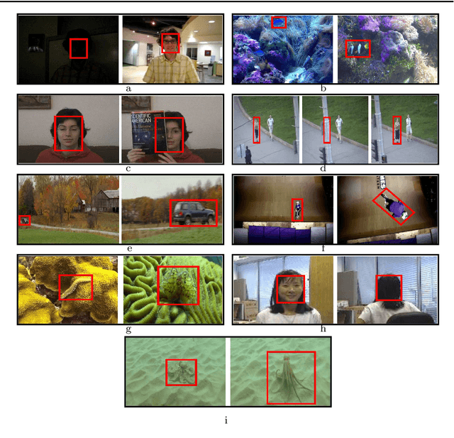 Figure 1 for Camouflaged Object Detection and Tracking: A Survey