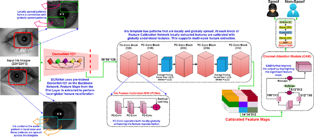 Figure 2 for DFCANet: Dense Feature Calibration-Attention Guided Network for Cross Domain Iris Presentation Attack Detection