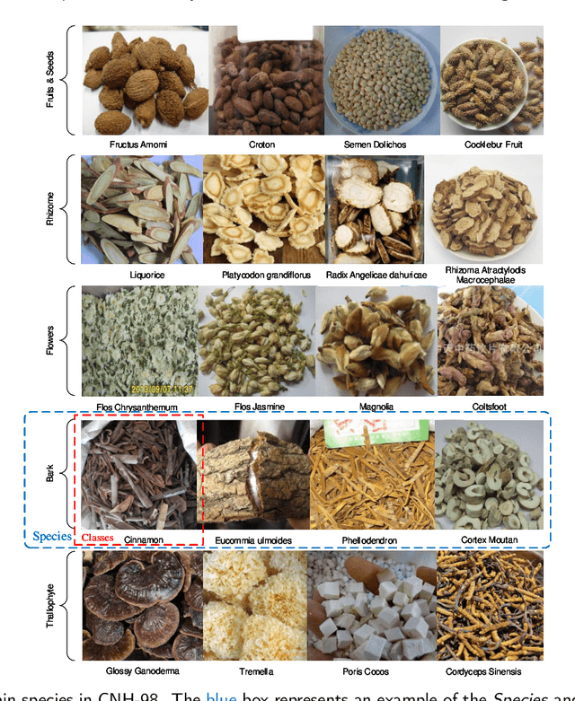 Figure 1 for Multiple Attentional Pyramid Networks for Chinese Herbal Recognition