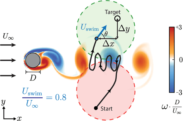 Figure 1 for Learning Efficient Navigation in Vortical Flow Fields