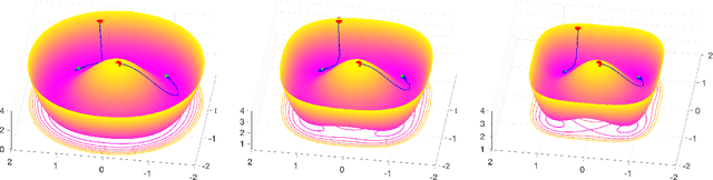 Figure 2 for On the Implicit Bias of Dropout