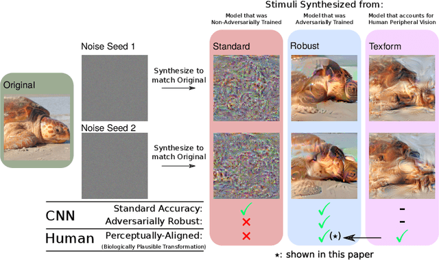 Figure 2 for Finding Biological Plausibility for Adversarially Robust Features via Metameric Tasks