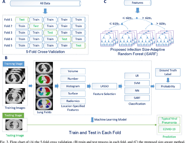 Figure 3 for Large-Scale Screening of COVID-19 from Community Acquired Pneumonia using Infection Size-Aware Classification