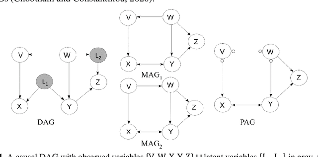 Figure 2 for Hybrid Bayesian network discovery with latent variables by scoring multiple interventions