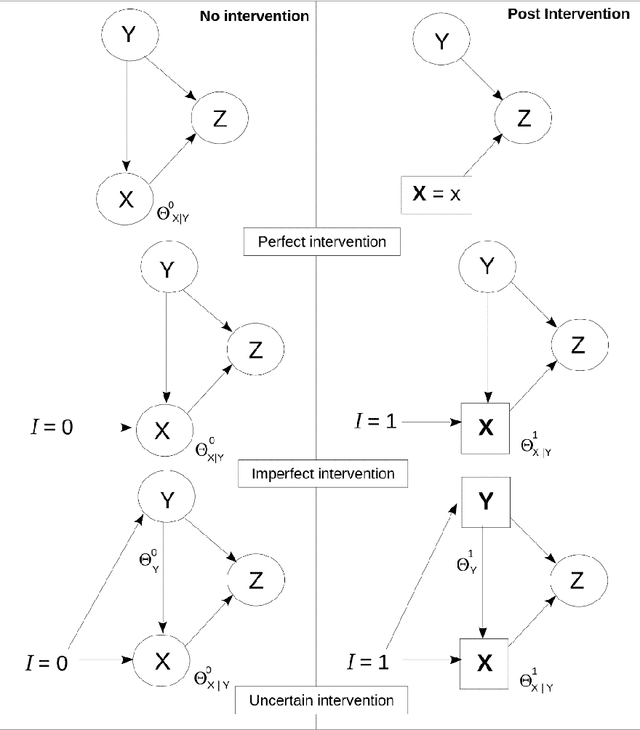 Figure 3 for Hybrid Bayesian network discovery with latent variables by scoring multiple interventions