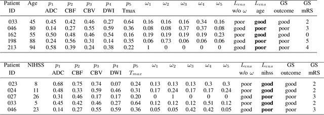 Figure 3 for CNN-LSTM Based Multimodal MRI and Clinical Data Fusion for Predicting Functional Outcome in Stroke Patients