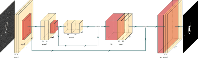 Figure 1 for Self-supervised U-net for few-shot learning of object segmentation in microscopy images