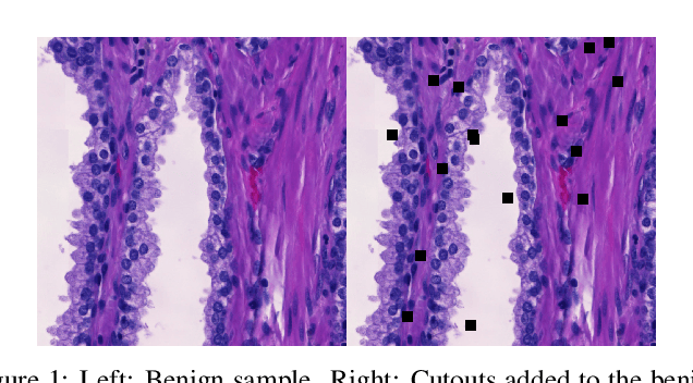 Figure 1 for Spectral decoupling allows training transferable neural networks in medical imaging