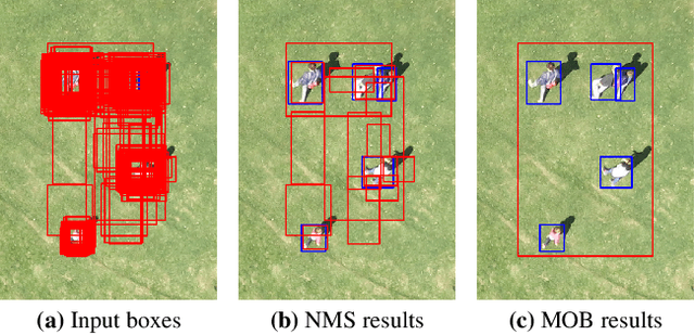 Figure 1 for Rethinking Drone-Based Search and Rescue with Aerial Person Detection