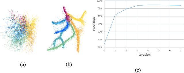 Figure 4 for Database Annotation with few Examples: An Atlas-based Framework using Diffeomorphic Registration of 3D Trees