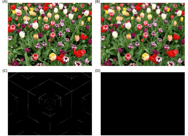 Figure 2 for A General Approach for Using Deep Neural Network for Digital Watermarking