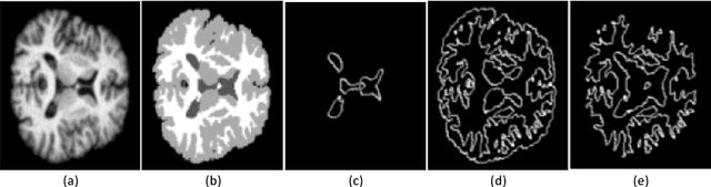 Figure 1 for Efforts estimation of doctors annotating medical image