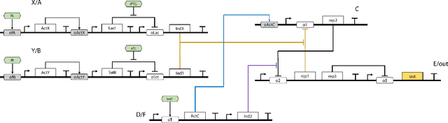 Figure 2 for Towards Multicellular Biological Deep Neural Nets Based on Transcriptional Regulation