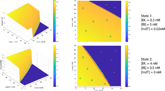 Figure 4 for Towards Multicellular Biological Deep Neural Nets Based on Transcriptional Regulation