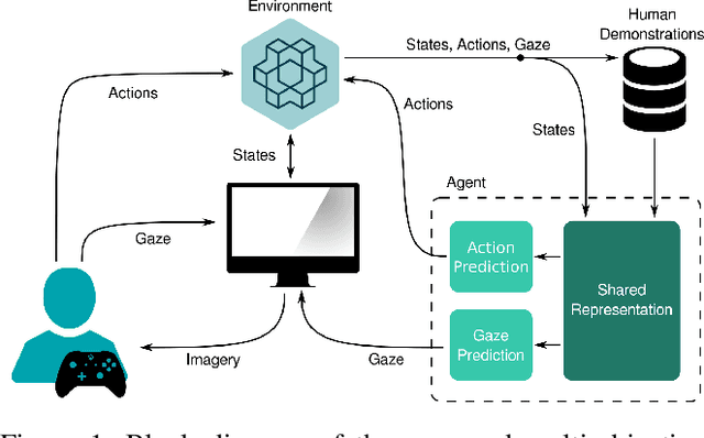 Figure 1 for Gaze-Informed Multi-Objective Imitation Learning from Human Demonstrations