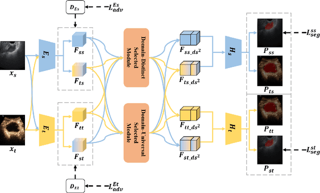 Figure 4 for A Multi-Modality Ovarian Tumor Ultrasound Image Dataset for Unsupervised Cross-Domain Semantic Segmentation