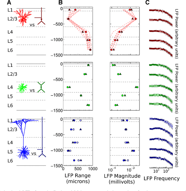 Figure 1 for Virtual Electrode Recording Tool for EXtracellular potentials (VERTEX): Comparing multi-electrode recordings from simulated and biological mammalian cortical tissue