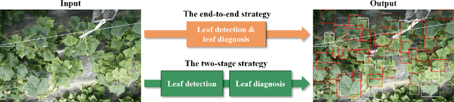 Figure 1 for A comparable study: Intrinsic difficulties of practical plant diagnosis from wide-angle images