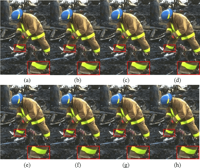 Figure 4 for A heterogeneous group CNN for image super-resolution