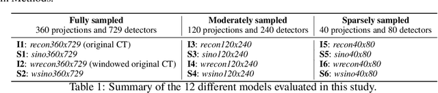 Figure 1 for Machine Friendly Machine Learning: Interpretation of Computed Tomography Without Image Reconstruction
