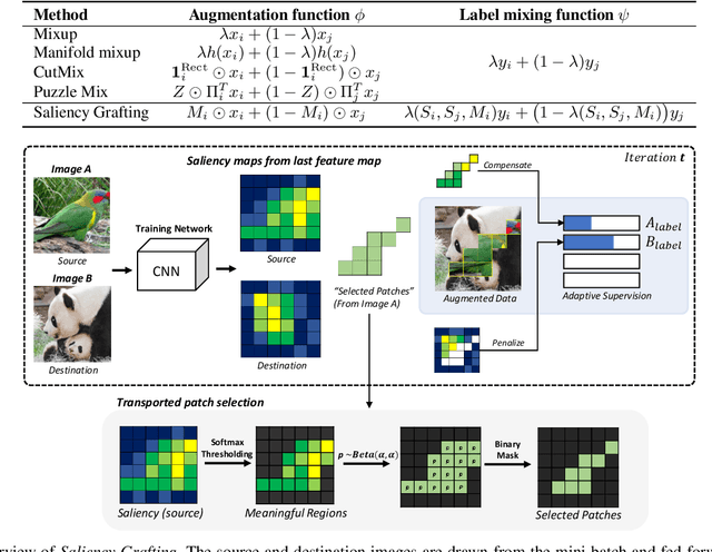 Figure 2 for Saliency Grafting: Innocuous Attribution-Guided Mixup with Calibrated Label Mixing
