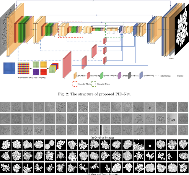 Figure 3 for An application of Pixel Interval Down-sampling (PID) for dense tiny microorganism counting on environmental microorganism images