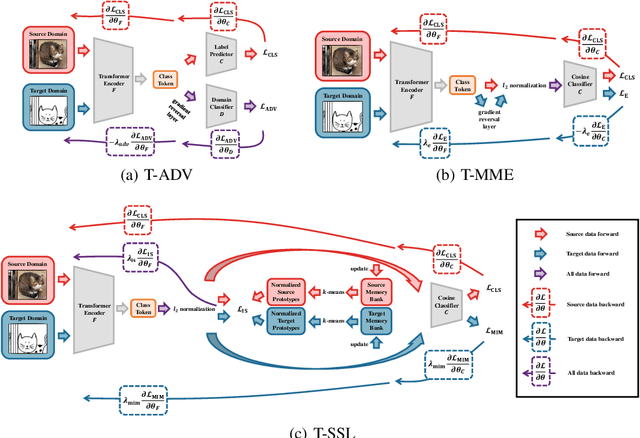 Figure 4 for Delving Deep into the Generalization of Vision Transformers under Distribution Shifts