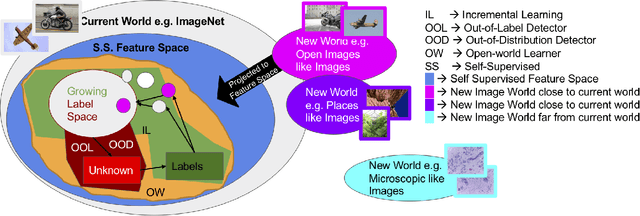 Figure 2 for Self-Supervised Features Improve Open-World Learning