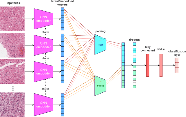 Figure 1 for Multimodal brain tumor classification