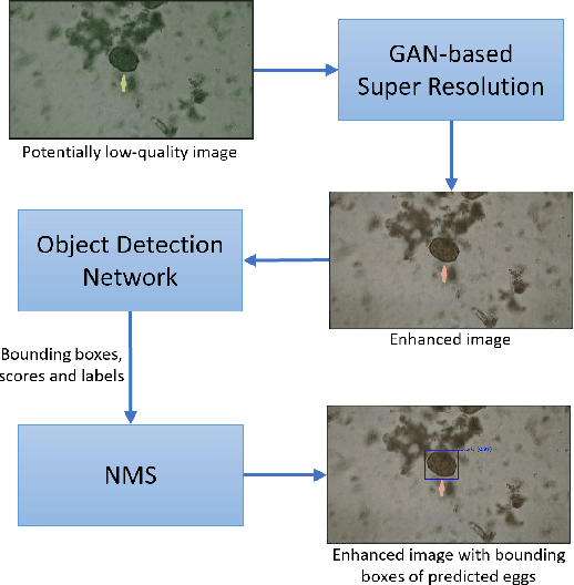 Figure 1 for Detection of Parasitic Eggs from Microscopy Images and the emergence of a new dataset