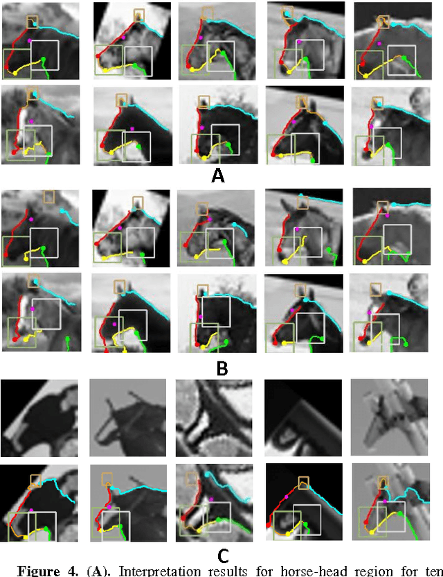 Figure 4 for A model for full local image interpretation