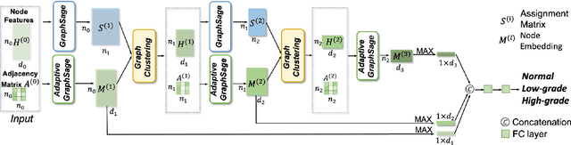 Figure 4 for CGC-Net: Cell Graph Convolutional Network for Grading of Colorectal Cancer Histology Images
