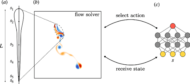 Figure 1 for Learning swimming escape patterns under energy constraints