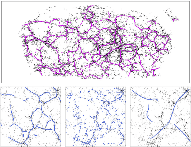 Figure 1 for Optimal Ridge Detection using Coverage Risk