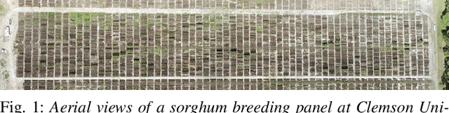 Figure 1 for Semantic Feature Matching for Robust Mapping in Agriculture