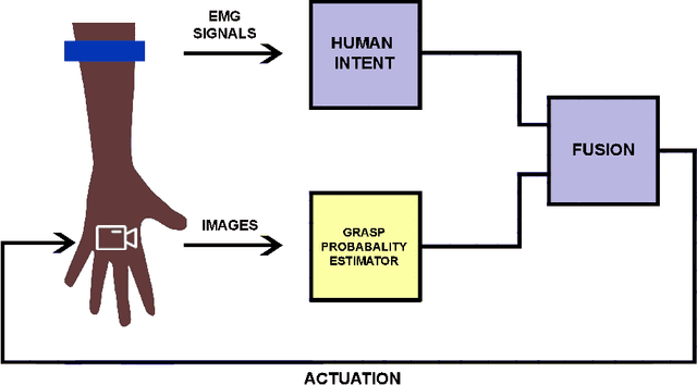 Figure 1 for Towards Creating a Deployable Grasp Type Probability Estimator for a Prosthetic Hand