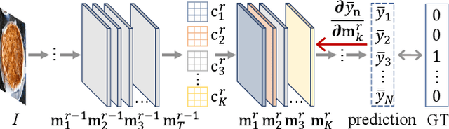 Figure 1 for Model Doctor: A Simple Gradient Aggregation Strategy for Diagnosing and Treating CNN Classifiers