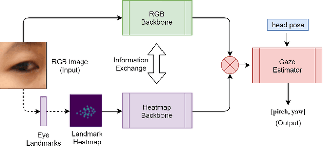 Figure 3 for FLAME: Facial Landmark Heatmap Activated Multimodal Gaze Estimation