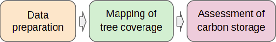 Figure 1 for Semantic Workflows and Machine Learning for the Assessment of Carbon Storage by Urban Trees