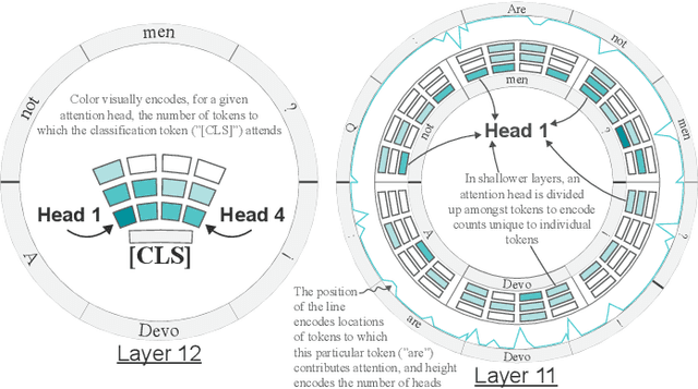 Figure 3 for Attention Flows: Analyzing and Comparing Attention Mechanisms in Language Models