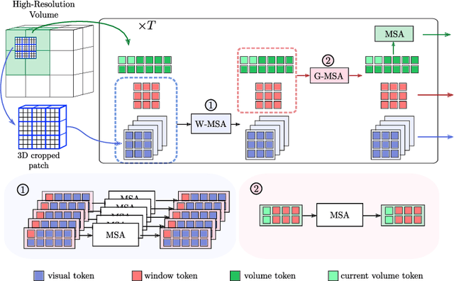 Figure 3 for Memory transformers for full context and high-resolution 3D Medical Segmentation