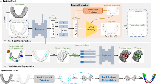 Figure 3 for DArch: Dental Arch Prior-assisted 3D Tooth Instance Segmentation