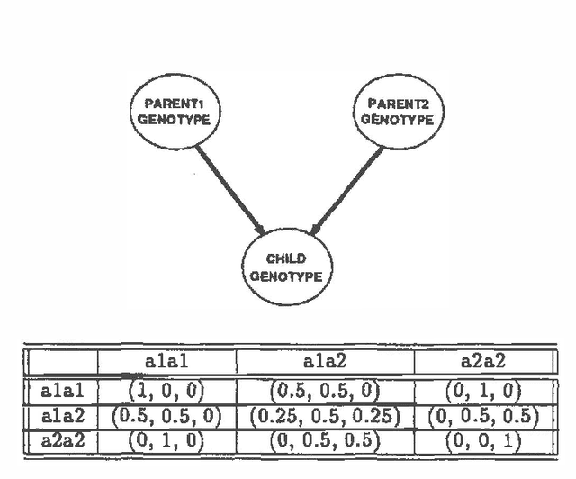 Figure 2 for Dynamic Construction of Belief Networks