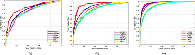 Figure 4 for Reasoning Graph Networks for Kinship Verification: from Star-shaped to Hierarchical